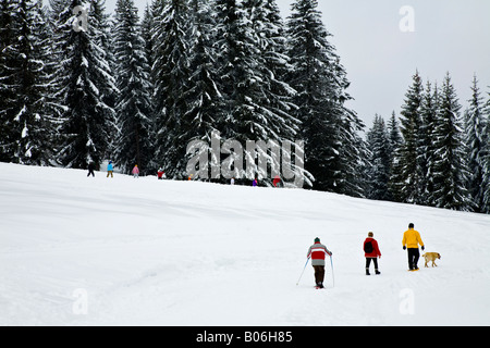 Les randonneurs et les skieurs de fond explorer les pentes boisées de Le Pleney dans les Alpes françaises, l'Union européenne. Banque D'Images