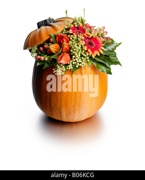 Arrangement de fleurs de citrouille Banque D'Images