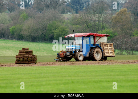 Coupe de gazon commerciale, UK Banque D'Images