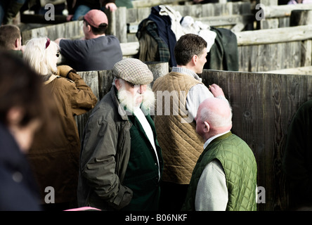 New Forest PonySales 2 Banque D'Images