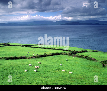 IE - CO.KERRY : côte le long de l'Anneau du Kerry Banque D'Images