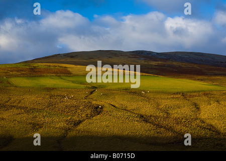 L'Ecosse Scottish Borders bien briser si une tempête met en lumière les caractéristiques des hautes terres d'être trouvés près de Blake Muir Banque D'Images