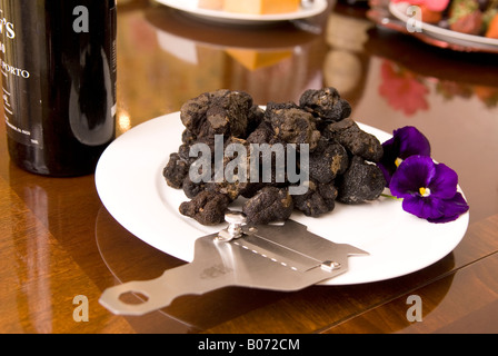 Gros plan du diamant noir frais Truffes sur plaque avec Slicer USA Banque D'Images