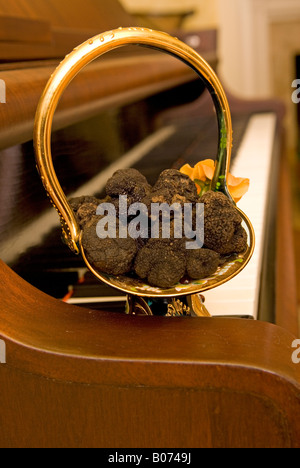 Libre montrant seau de Black Diamond frais Truffes sur plaque sur Piano USA Banque D'Images