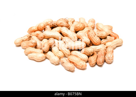 Les écrous de singe ou les arachides isolated on a white background studio. Banque D'Images