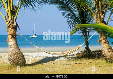 L'île de Langkawi en Malaisie hamac suspendu entre les palmiers sur la plage tropicale Pantai Cenang Banque D'Images