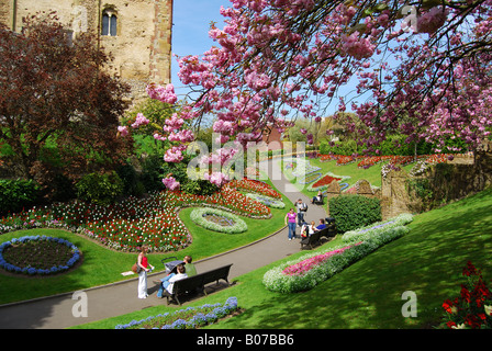 Château de Guildford et jardins au printemps, Castle Street, Guildford, Surrey, Angleterre, Royaume-Uni Banque D'Images