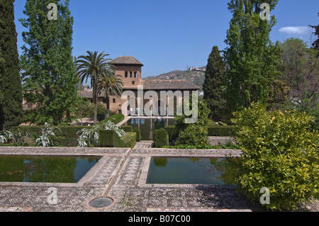 Le Partal jardins avec piscine d'ornement, à l'Alhambra, Grenade, Andalousie, Espagne Banque D'Images