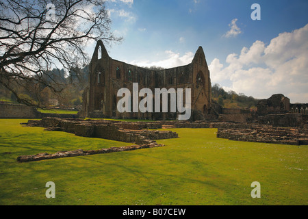 Ruines de l'abbaye de Tintern Monmouthshire au Pays de Galles UK Banque D'Images