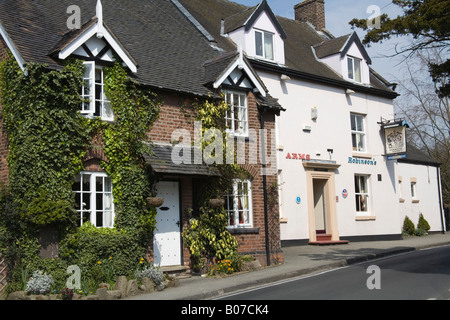 Astbury Cheshire England UK Avril Une ivy cottage couvert et le village pub dans ce joli village de Cheshire Banque D'Images