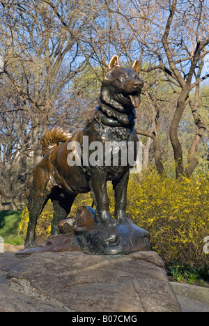 Statue de Balto dans Central Park, New York City Banque D'Images