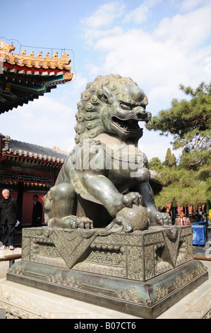 Statue de Lion en bronze au Palais d'été ou le jardin de l'harmonie (cultivée) 9 Minzu Yuan, Pékin, Chine, 2008. Banque D'Images