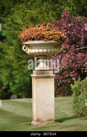 Une urne EN PIERRE DANS UN JARDIN À L'OUEST DE L'Angleterre, Royaume-Uni Banque D'Images