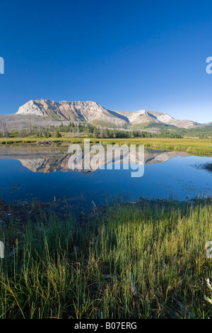 Canapé Mountain, parc national des Lacs-Waterton, Alberta, Canada Banque D'Images