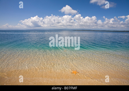 Panama, Bocas del Toro, Province de l'île l'Île de Colon (Colon) Star Beach Banque D'Images