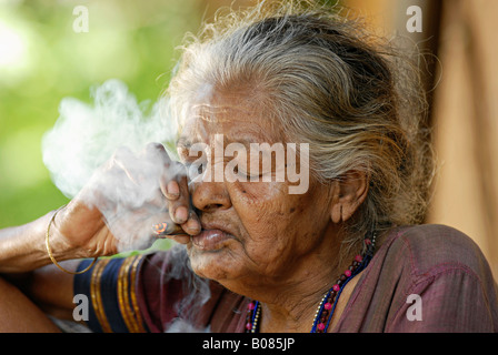 Libre d'une vieille femme fumant bidi, une cigarette à la main indienne faite de feuilles de tabac ou beedi. Tribu Warli Banque D'Images