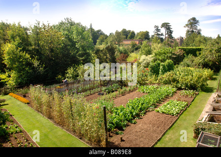 Un POTAGER MURÉ VICTORIENNE DANS UN JARDIN DE L'OUEST DE L'Angleterre, Royaume-Uni Banque D'Images