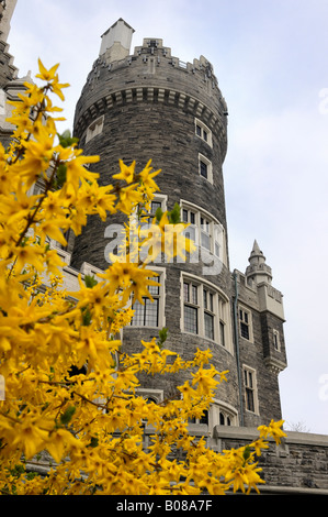 Arbre en fleurs en face de château Casa Loma Banque D'Images