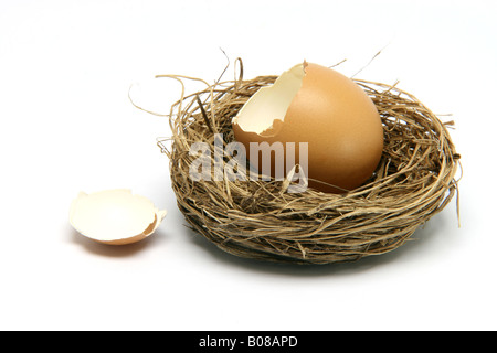 Broken egg in nest isolé sur fond blanc Banque D'Images