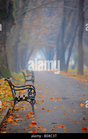 Banc dans un parc de la ville de Skopje Banque D'Images