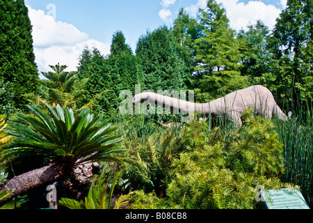 Dinosaure dans Arbotetum Ellerhoop Banque D'Images