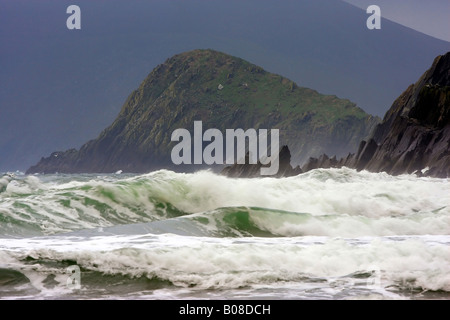 Mer grosse et brouillard à Slea Head sur la péninsule de Dingle, Co Kerry Banque D'Images