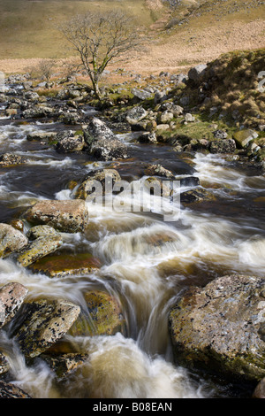 Les eaux vives sur des roches en Tavy Cleave dans le parc national du Dartmoor Devon, Angleterre Banque D'Images