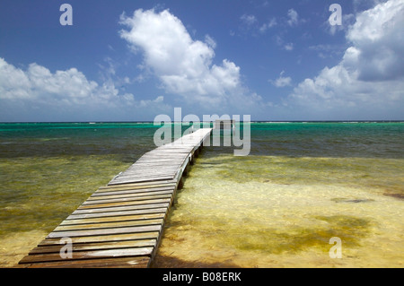 Sur le bord de mer de Blackbird Turneffe Islands Resort Belize Banque D'Images