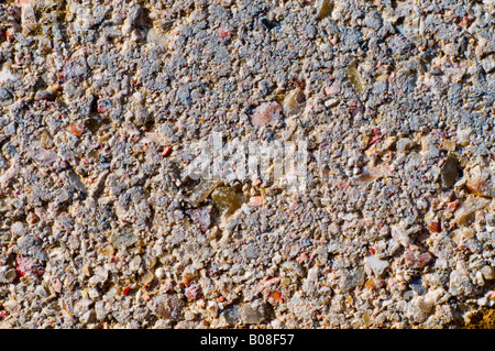 La texture de sable Vue du dessus top. Gros plan (macro) Banque D'Images