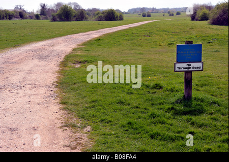 Sur la voie d'accès privée Hales Norfolk Royaume Uni vert Banque D'Images