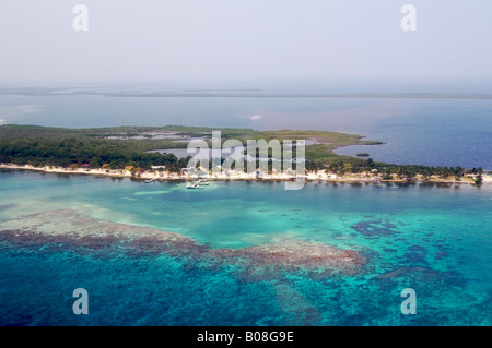 Sur le bord de mer de Blackbird Caye Turneffe Islands Belize Le Belize barrier reef le deuxième plus grand au monde Banque D'Images