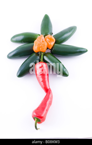 Piment vert, piment rouge, orange et piment Habanero Banque D'Images