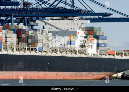 Container Ship at Trinity quai, port de Felixstowe, plus grand port de conteneurs de la Grande-Bretagne. Banque D'Images