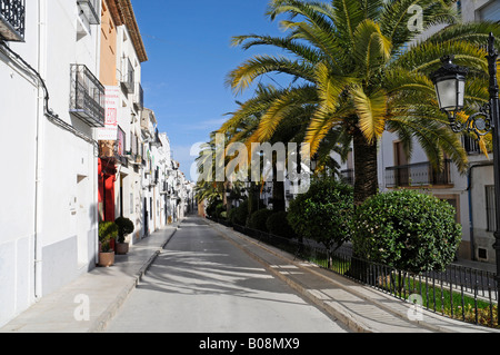 Rue bordée de palmiers, dans le centre historique de Benissa, Alicante, Costa Blanca, Espagne Banque D'Images