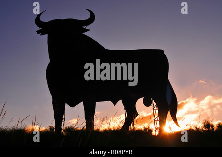 Toro de Osborne, Osborne's Bull au coucher du soleil, près de Benidorm, Costa Blanca, Espagne Banque D'Images