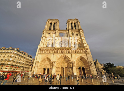 Côté ouest de la Cathédrale Notre Dame de Paris, France Banque D'Images