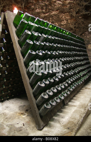 Étagères en bois pour le stockage des bouteilles de champagne pendant le processus de fermentation dans une ancienne cave voûtée, Kessler, mousseux Banque D'Images