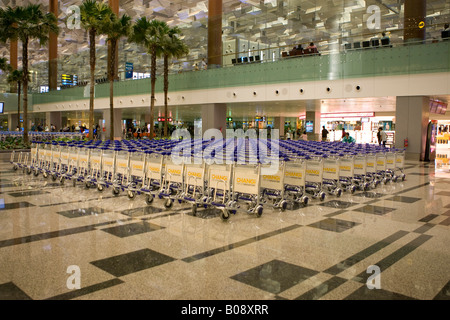 Rangées de chariots à bagages à côté de palmiers à l'intérieur de l'aéroport Changi de Singapour, Singapour, en Asie du sud-est Banque D'Images