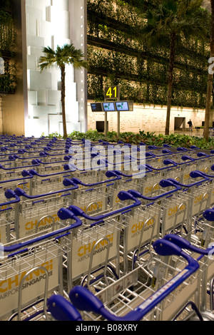 Rangées de chariots à bagages à l'intérieur de l'aéroport Changi de Singapour, Singapour, en Asie du sud-est Banque D'Images