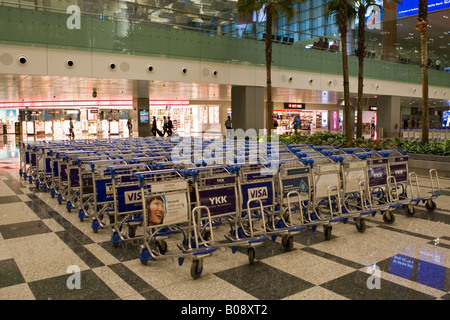 Rangées de chariots à bagages à l'intérieur de l'aéroport Changi de Singapour, Singapour, en Asie du sud-est Banque D'Images