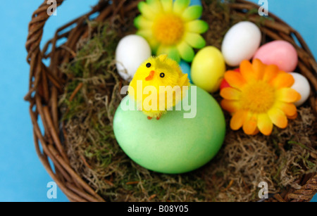 Le poussin de Pâques peints dans panier avec fleurs décoratives et candy eggs Banque D'Images