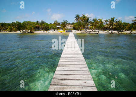 Sur le bord de mer de Blackbird Turneffe Islands Resort Belize Banque D'Images