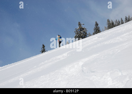 Ski de haute montagne, skieur de descendre une pente, poudreuse fraîche et légère de neige, Chiemgau, Bavière, Allemagne Banque D'Images