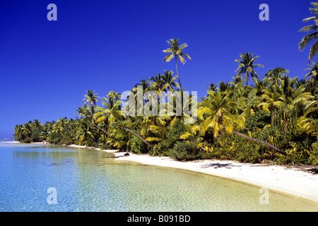 La plage bordée de palmiers sur les îles Cook, Îles Cook Banque D'Images