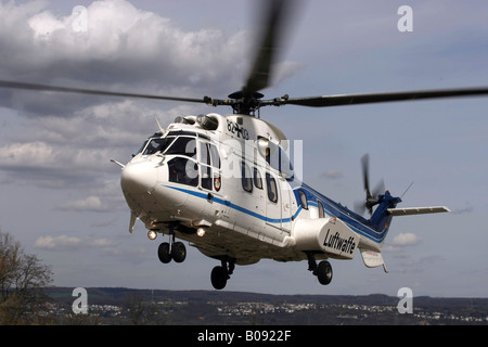 Hélicoptère Cougar AS 532 utilisé par l'Flugbereitschaft, VIP-escadron de l'aviation allemande, en vol Banque D'Images