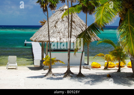 Sur le bord de mer de Blackbird Turneffe Islands Resort Belize Banque D'Images