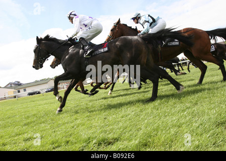 Courses de chevaux, Allemagne Banque D'Images