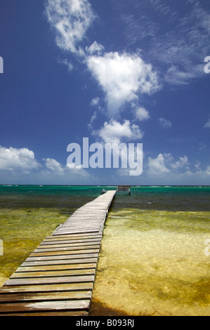 Sur le bord de mer de Blackbird Turneffe Islands Resort Belize Banque D'Images