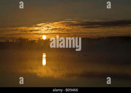 Brume sur le lac de Woerthsee au lever du soleil, Bavaria, Germany, Europe Banque D'Images