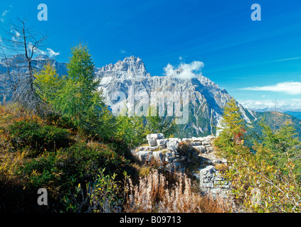 Mt. Rotwandwiesen, Mt. Dreischusterspitze et Mt. Gsellknoten, Dolomites de Sexten, Bolzano-Bozen, Italie Banque D'Images